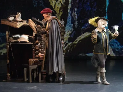 TAS Katzemigger 2201